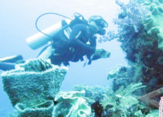 Kerusakan Terumbu Karang Akibat Aktifitas Pertambangan