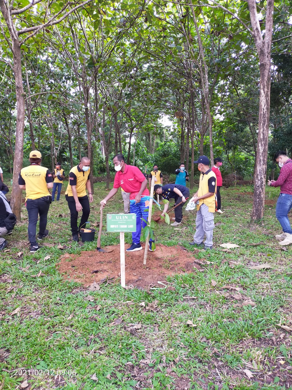 Pemkab Tala Dukung Revolusi Hijau Penanaman Bibit Ulin