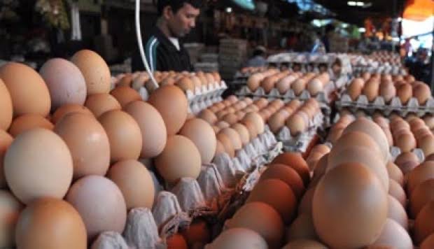 Terendah dalam Tiga Tahun, Harga Telur Senilai Sebutir Kue ‘Oentoek’