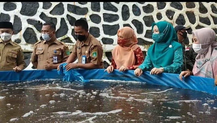 Ambo Sakka dan Wahyu Windarti Tebar Ribuan Bibit Ikan Nila, Kerjasama dengan PT. TIA