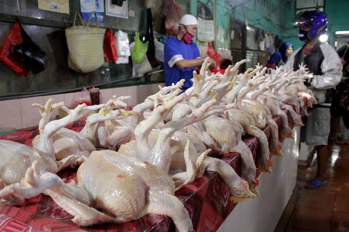 Selain Ayam Potong, Inilah Bahan Masak yang Tengah Melonjak Harganya