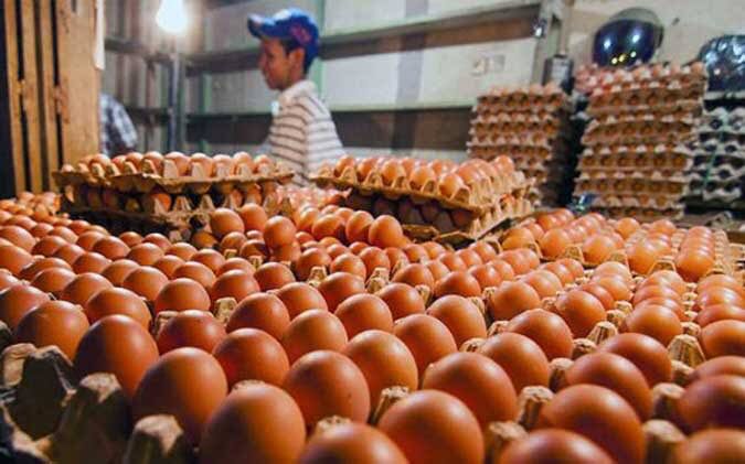 Jelang Tahun Baru, Telur dari Jawa Belum Masuk Banjarmasin, Harga pun Melonjak Tajam