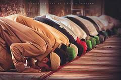Sujud Sholat Seperti Ini Dilarang Rasulullah karena Menyerupai Anjing Rebahan