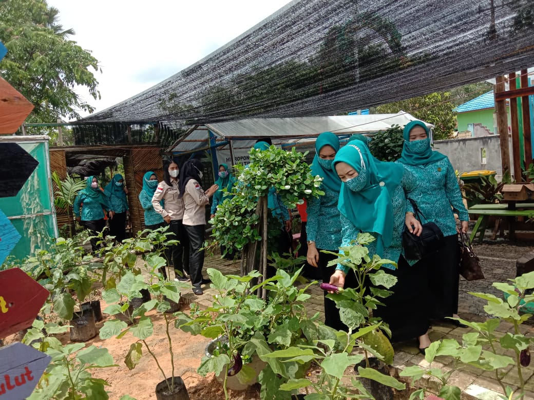 Dibawah Kepemimpinan Amin, Kecamatan Kuranji Terus Torehkan Prestasi