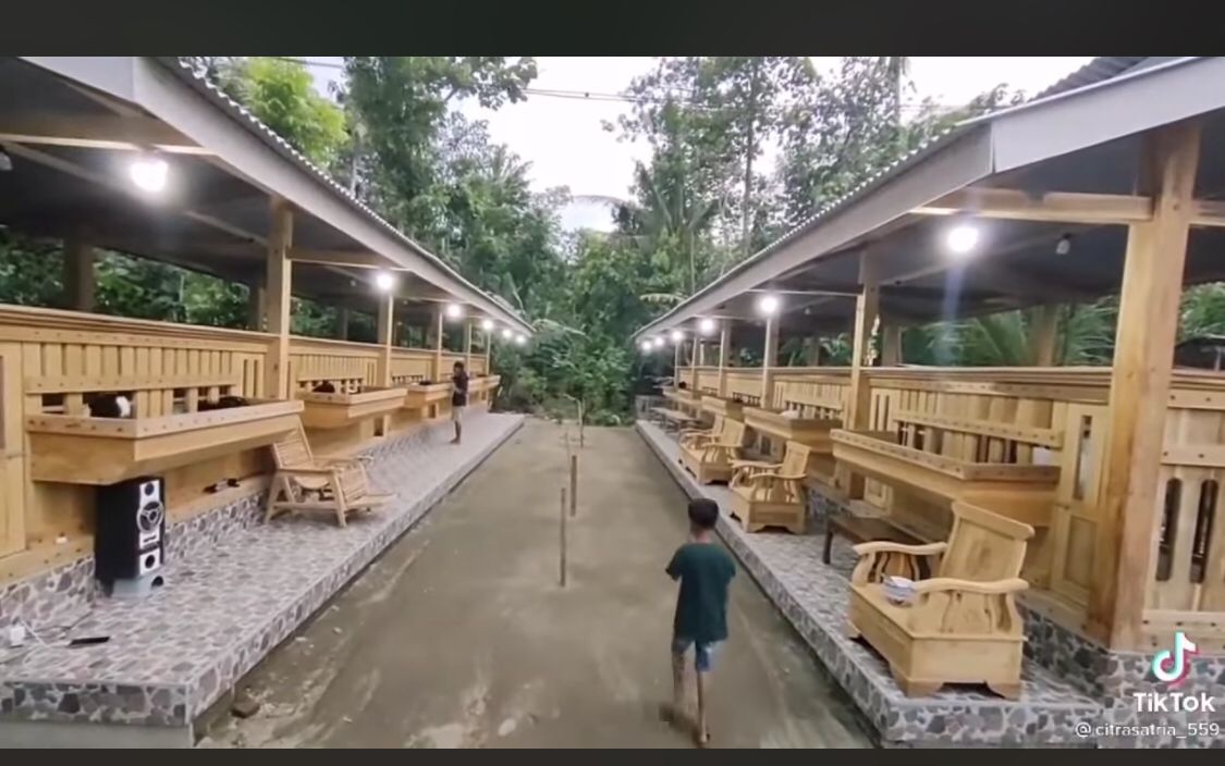 Bikin Iri, Dikira Kafe Lesehan Ternyata Kandang Embek, Warganet: Wedus Sultan