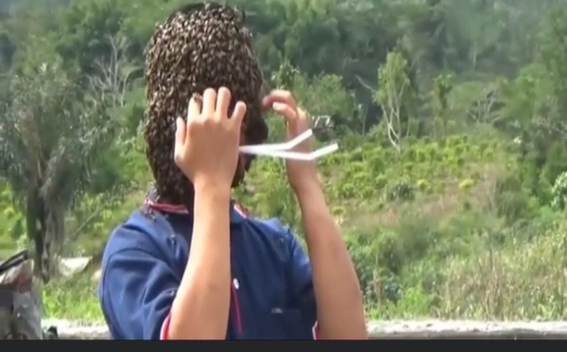 Anak ‘Si Penakluk Lebah’ Ini Punya Bahasa Sandi Menjinakkan Agar Tidak Disengat