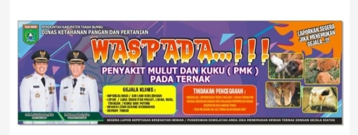 Masyarakat Tanah Bumbu Waspadai PMK pada Hewan Ternak
