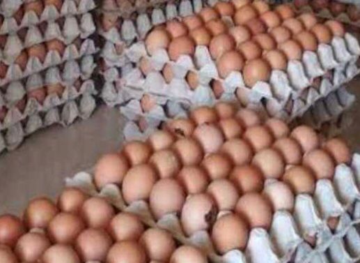 Harga Telur Alami Kenaikan Tertinggi di Pasar Banjarmasin