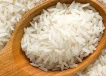 Harga Beras di Banjarmasin Naik 10 Persen, Gagal Panen?