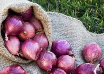 Bawang2an Rp70 Ribu/kg Sudah Ditinggalkan, Harga Mendekati Normal
