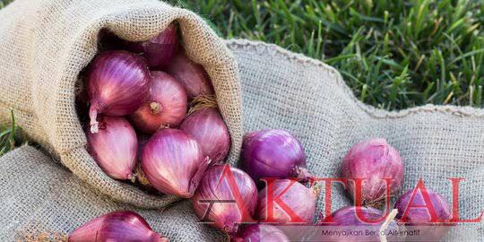 Bawang2an Rp70 Ribu/kg Sudah Ditinggalkan, Harga Mendekati Normal