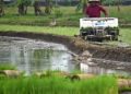 Di Tanah Bumbu, Minat Anak Muda Menjadi Petani Rendah