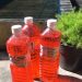 Penomena ‘Botol Sirup’ Merah di Banjarmasin, Benarkah Kiat Mengusir Kotoran Binatang?