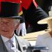Charles, Raja Tertua Ketika Naik Tahta, Camilla Punya Buyut