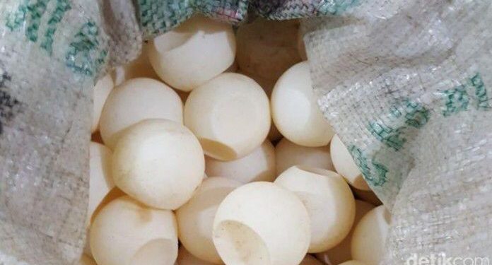Hanya Ada di ‘Black Market’ Harga Telur Ini di Banjarmasin Mencengangkan