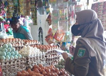 Harga Bahan Pokok Stabil