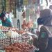 Harga Bahan Pokok Stabil