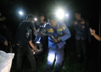 Tugas Damkar Serba Bisa, Bukan Hanya Padamkan Kebakaran