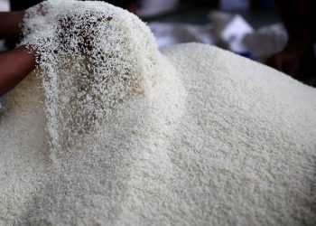 Bank Dunia: Harga Beras di Indonesia Paling Mahal