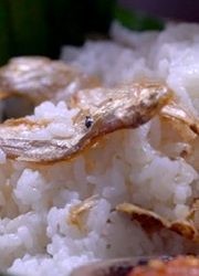 Hanya Tiga Sirkel ‘Remeh’ Ini Lho yang Dikejar Manusia, Siapa pun Mereka