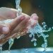 Mandi sebagai Ganti Berwudhu? Boleh asal dengan Niat dan Cara Ini