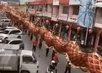 Inilah NagaNaga-an Terpanjang versi MURI adanya di Kalimantan Barat