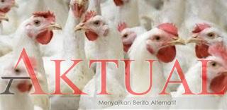 Mangsa Ternak Warga, Tim Damkar HSU Ditugasi Taklukan Piton dalam 2 Jam