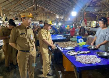 Sekda Dr.Ambo Sakka Sidak Bahan Pokok di Pasar Harian