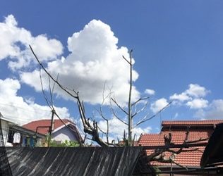 Panasnya Seperti di Ubun2, Begini Tinggi Suhu di Kota Banjarmasin pada Tengah Hari