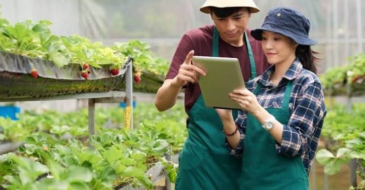 Pemuda Bumi Bersujud Dihimbau Ikut Program YESS