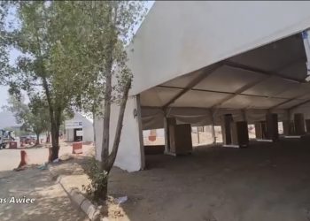 Ribuan Pohon Sukarno Siap Teduhkan Tenda Tenda Padang Arafah