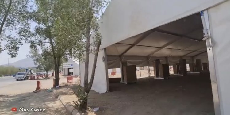 Ribuan Pohon Sukarno Siap Teduhkan Tenda Tenda Padang Arafah