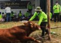DKPP Tanah Bumbu Rutin Periksa Hewan Qurban