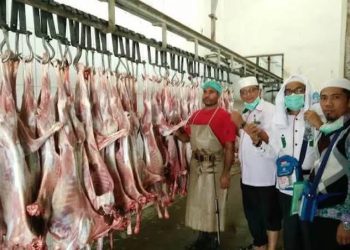 Tiba 18 Agustus, Saudi Kirim 3 Ribu Kg Daging Bayar Dam Jamaah Indonesia