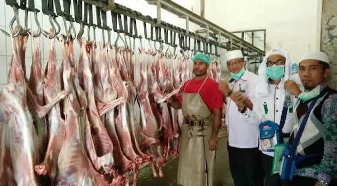 Tiba 18 Agustus, Saudi Kirim 3 Ribu Kg Daging Bayar Dam Jamaah Indonesia