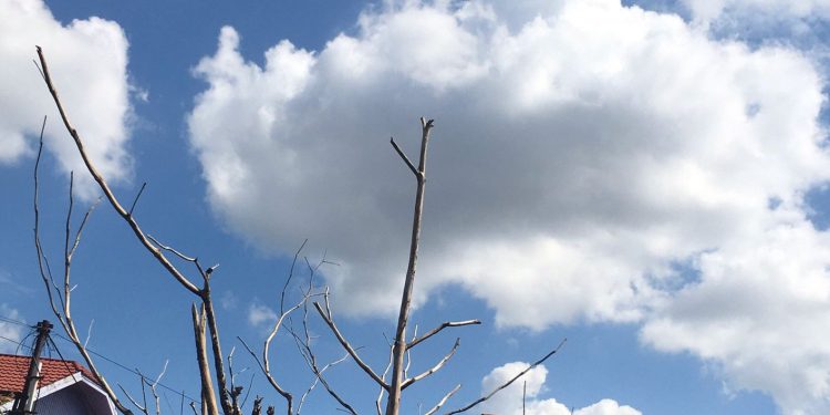 Banjarmasin ‘Menggantang’ hingga Petang, Terasa 37 derajat