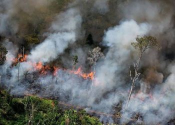 Selamatkan Kebun Cabai, Petani Ini Tewas Ketika Berjibaku Memadamkan Kebakaran Lahan
