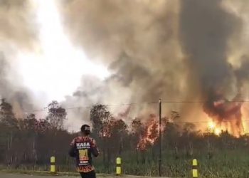 Ngeri, Warga Panik Kebakaran Lahan di Pengayuan LA Mulai Merambat Pemukiman