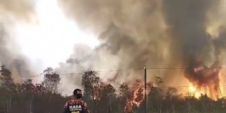 Ngeri, Warga Panik Kebakaran Lahan di Pengayuan LA Mulai Merambat Pemukiman