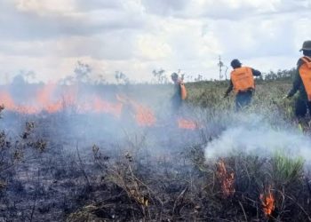 Ada Perusahaan Diduga Pelaku Pembakaran Lahan, Kini Diamankan Polda Kalsel