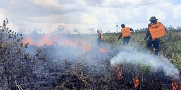 Ada Perusahaan Diduga Pelaku Pembakaran Lahan, Kini Diamankan Polda Kalsel