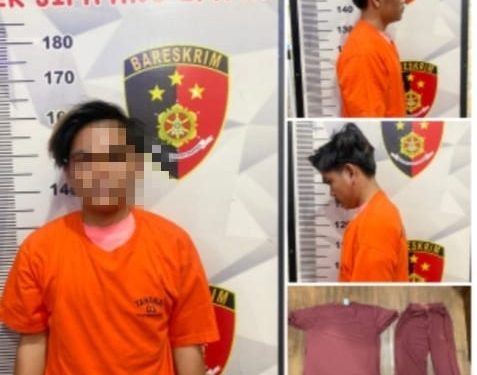 Setubuhi Anak Dibawah Umur, Seorang Pria Ditangkap Polisi