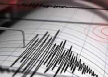 BMKG Ralat Gempa Tanah Bumbu Jadi Gempa Lombok Magnitudo 7,1