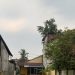 Banjarmasin Diserbu Asap Pekat Hingga Masuk Rumah, Mata pun Perih
