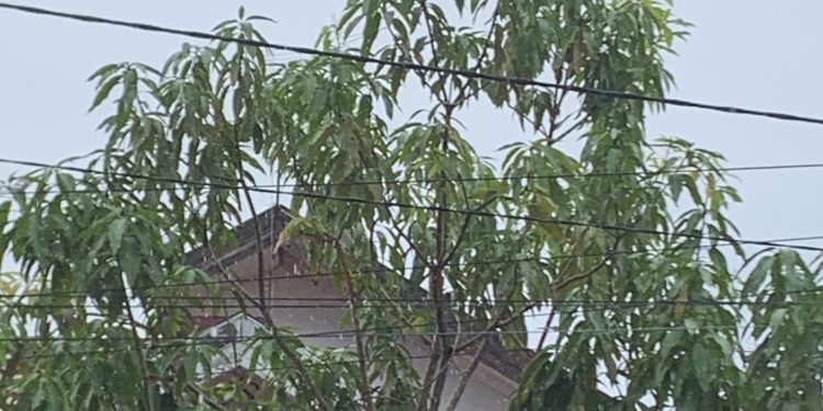 Perdana, Hujan Guyur Banjarmasin dalam Sebulan Ini, Suhu Udara Tetap Tinggi