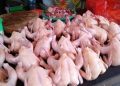 Momentum Maulid di Banjarmasin, Ayam Potong Mahal yang Ini Justru Turun