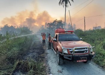 BPBD Tanah Bumbu Padamkan Kebakaran Lahan di Desa Kersik Putih