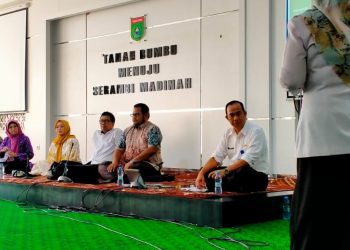 DP3AP2KB Tanah Bumbu Gelar Diseminasi Rencana Tindak Lanjut Audit Kasus Stunting