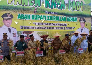 Bupati Zairullah Hadiri Panen Raya Padi di Desa Salimuran