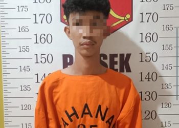 Setubuhi Anak Dibawah Umur, MI Ditangkap Polisi